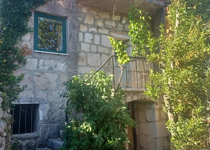 シャレー Sun And Stone Katuni